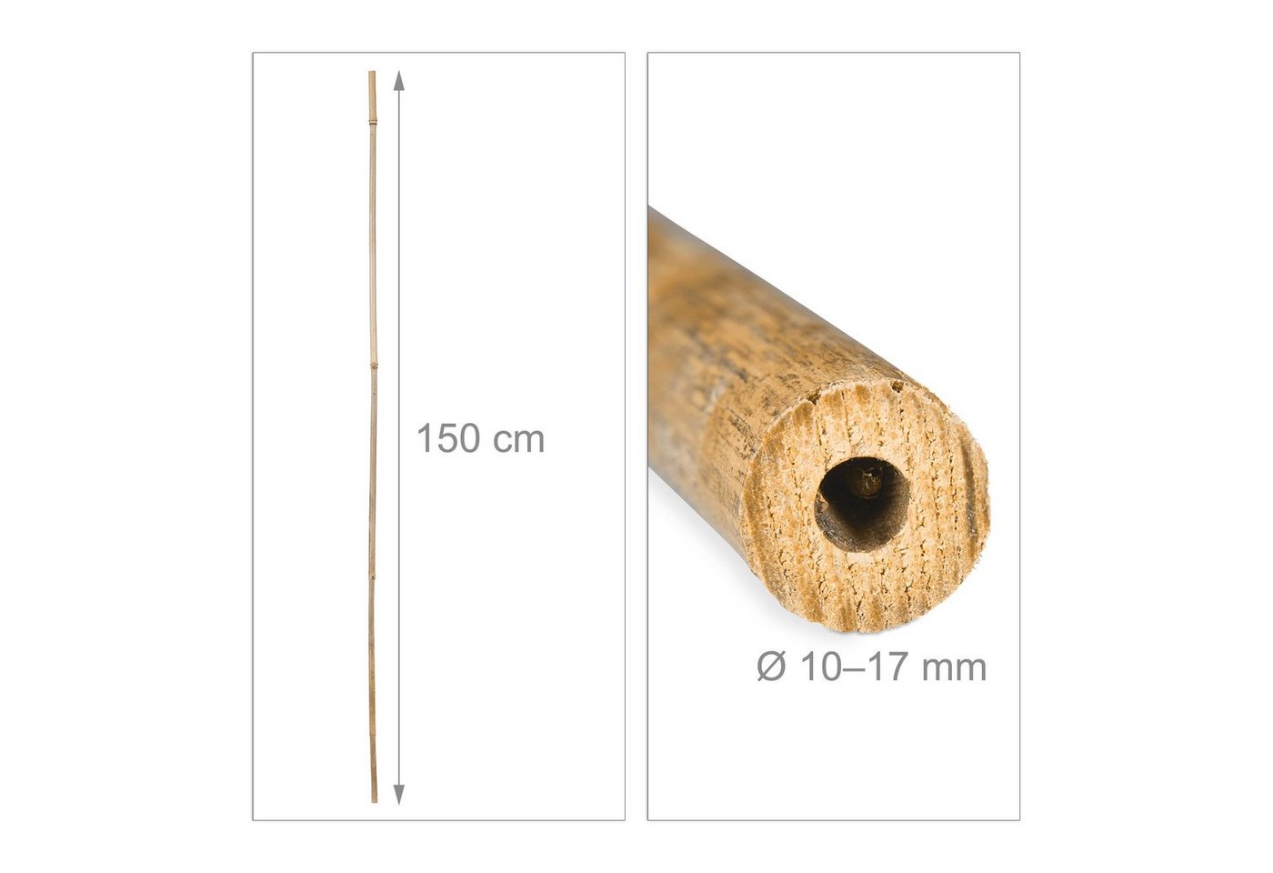 relaxdays Rankhilfe Bambusstäbe 150cm, 25 St., natur – Bild 4 von 5