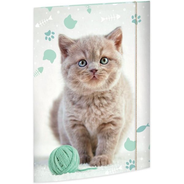 RNK Verlag Organisationsmappe Zeichenmappe Kitty DIN A3, Karton mit Gummizugverschluss Sammelmappe