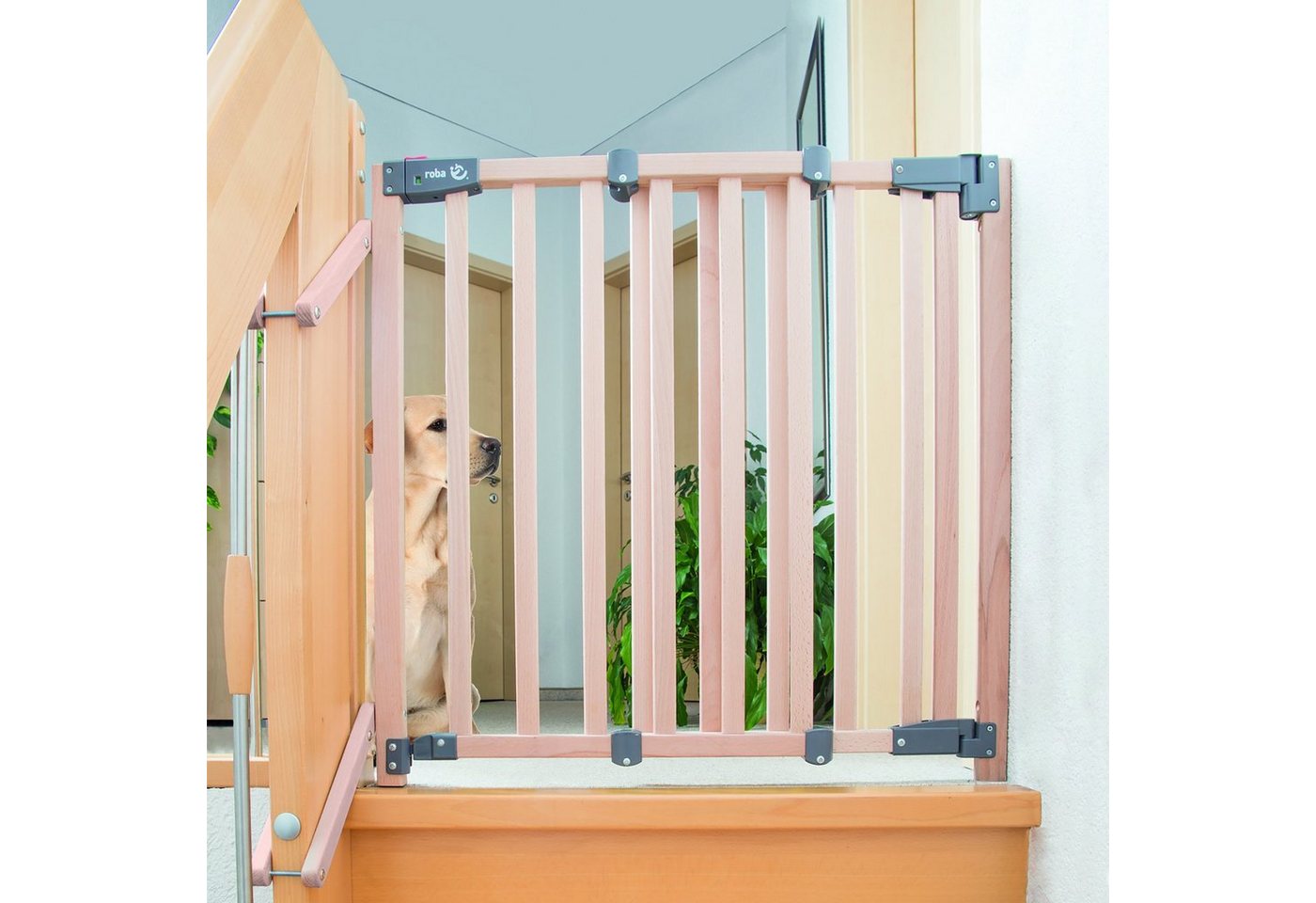 roba® Treppenschutzgitter Safety Up, Schutzgitter mit Ampelfunktion, Buche massiv – Bild 4 von 4