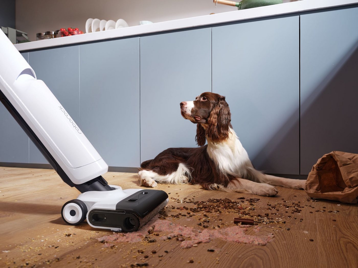 Roborock Nass-Trocken-Sauger Flexi Lite, Selbstreinigende und trocknende Rolle in der Station, 160 W, DirTect™-Technologie zur intelligenten Schmutzerkennung – Bild 5 von 5