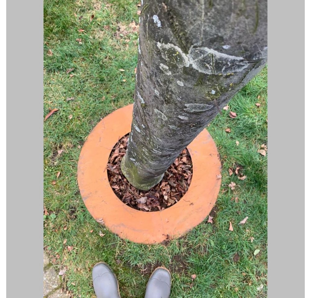 ROG-Gardenline Beetbegrenzung Baumring Baumschutzring - Cortenstahl (Edelrost), 50 cm Außendurchmesser, 30 cm Innendurchmesser – Bild 4 von 5