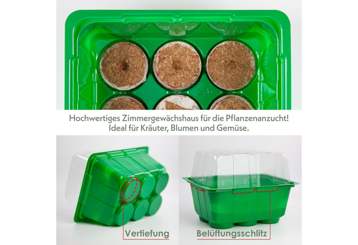 Romberg Gewächshaus Mini-Gewächshaus + Kokosscheiben, Maße 16x11,5x11cm Made in Germany, 1-St. – Bild 2 von 5