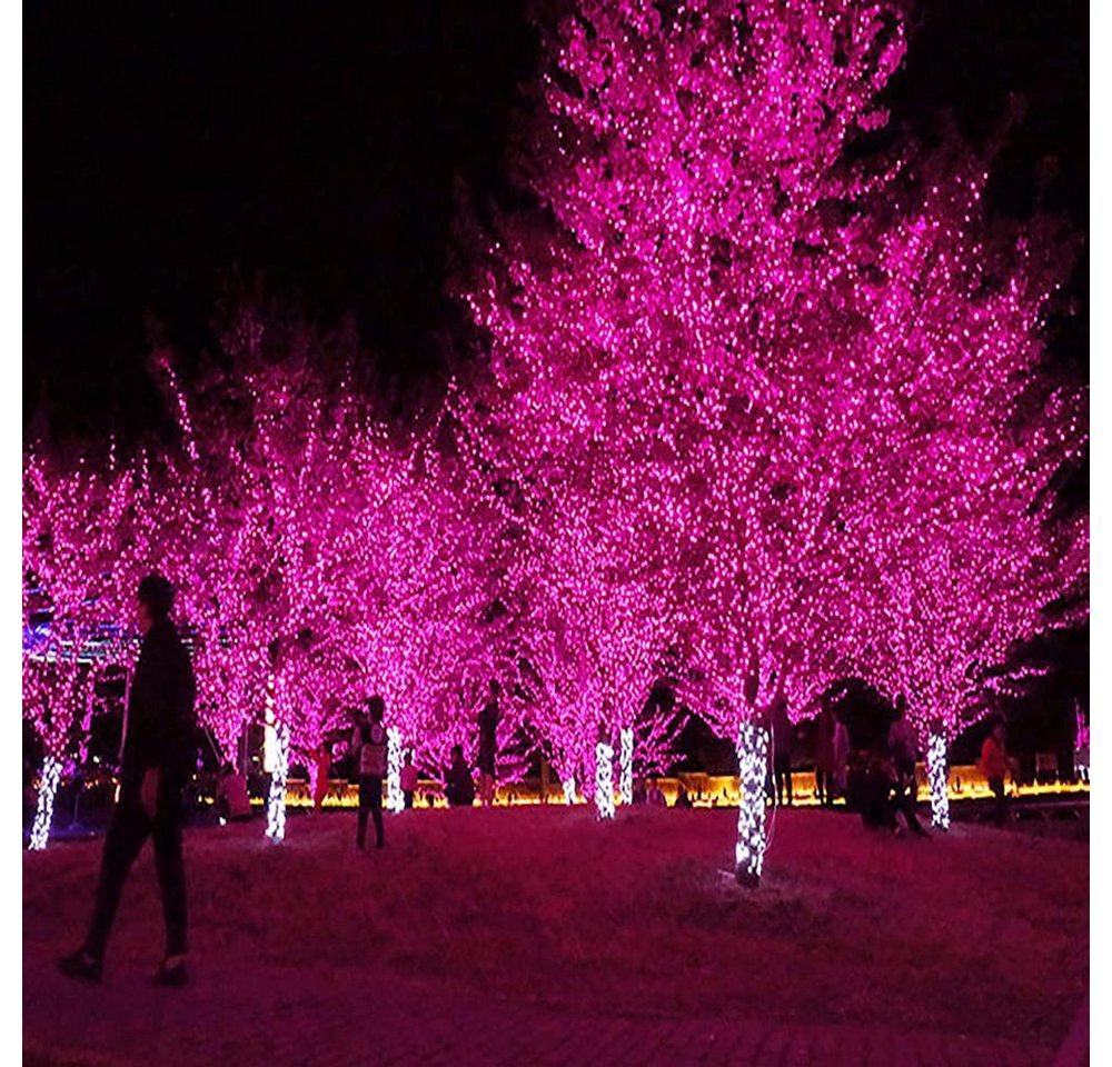 Rosnek LED-Lichterkette 10-100M, 8 Modi, für Weihnachten Party Urlaub, Hochzeit Deko, Blau Rot Grün Rosa Lila – Bild 3 von 5