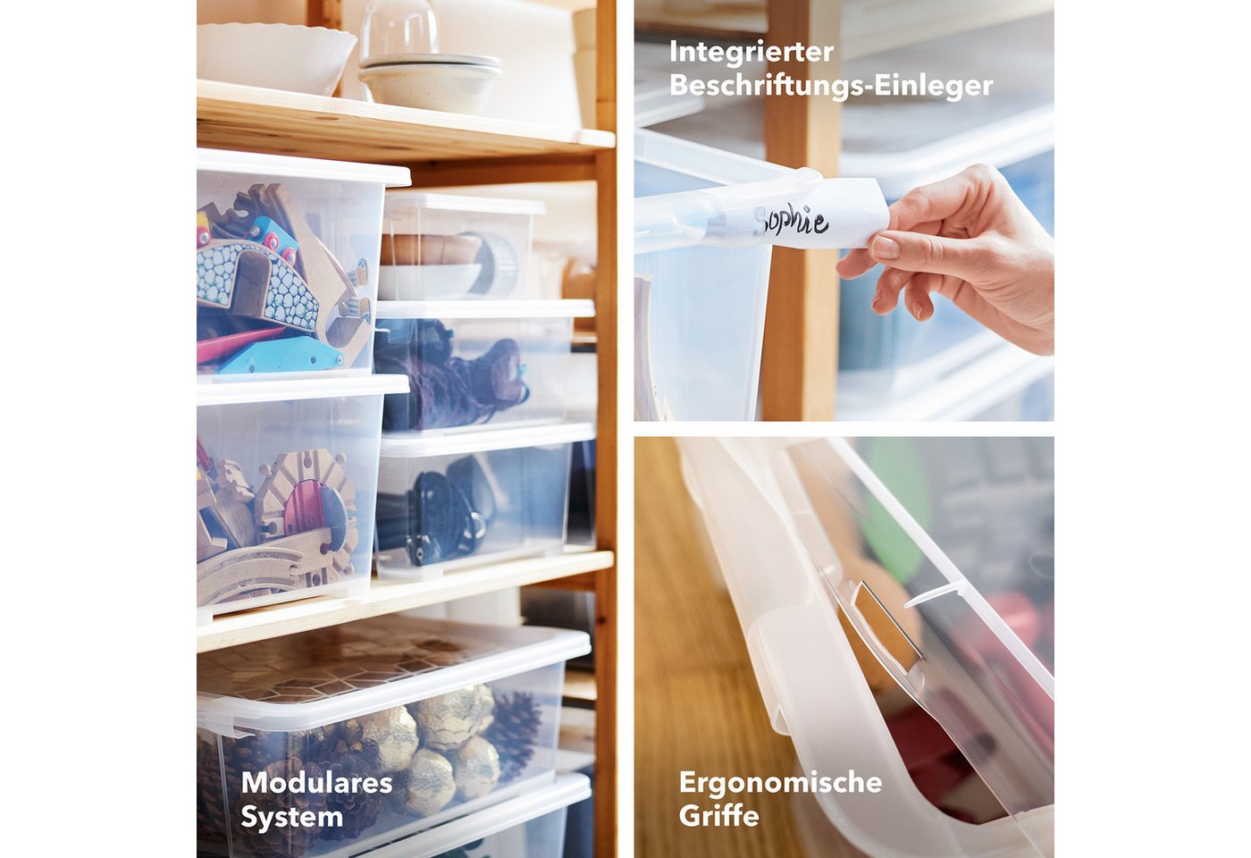 ROTHO Aufbewahrungsbox 4er-Set CORE BASIC 44L stapelbar transparente Box mit Deckel (Sichtboxen-Set, 4er-Set), Kunststoffbox ideal für Kleidung, Spielzeug und H – Bild 4 von 5