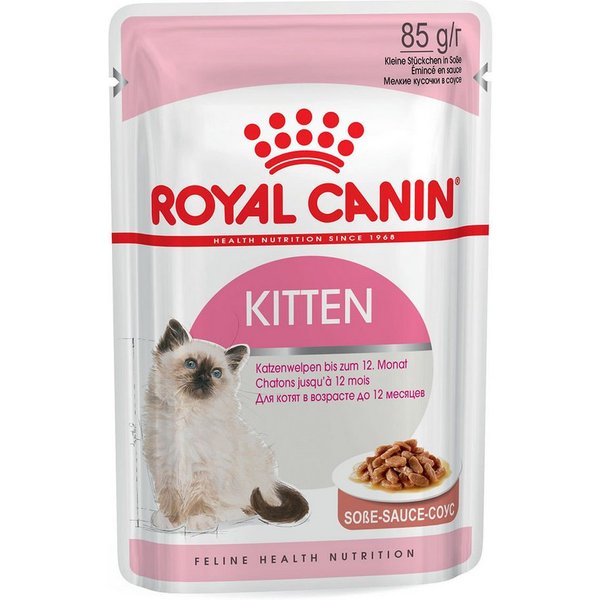 Royal Canin Kitten in Sauce 85 g - 12 Stück, für: Katze