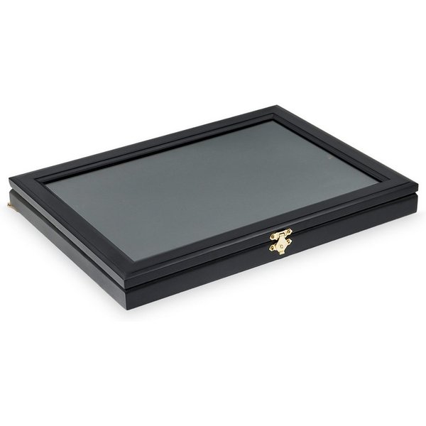 Safe-Album Vitrine Pin-Vitrine schwarz