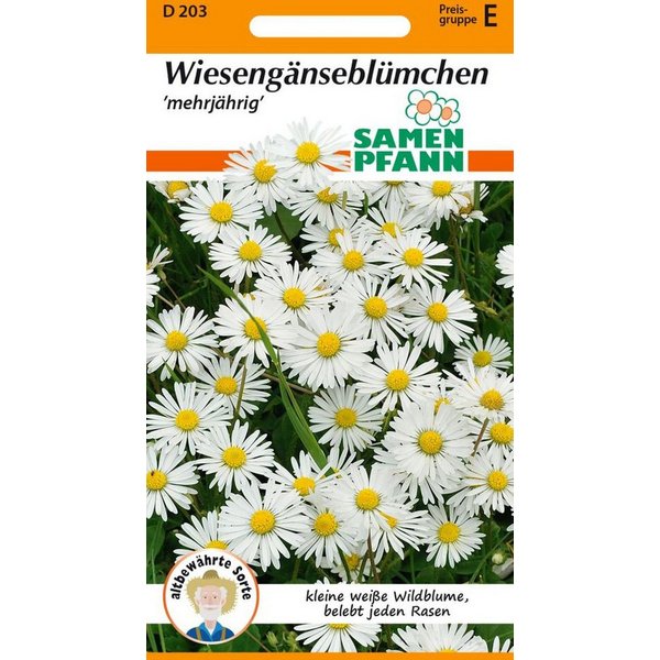 SAMEN PFANN Blumensamen Gänseblümchen, Wiesengänseblümchen - Saatgut Samen, Bellis perennis
