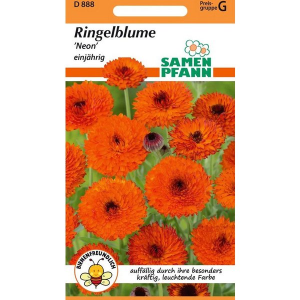 SAMEN PFANN Blumensamen Ringelblume, Neon - Ringelblume-Samen Saatgut Samen, Calendula officinalis