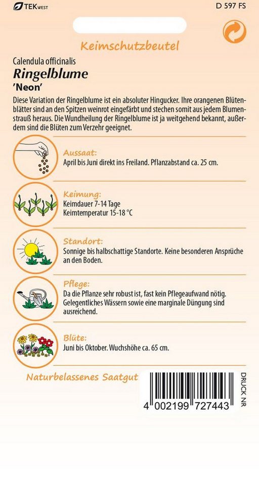 SAMEN PFANN Blumensamen Ringelblume, Neon - Ringelblume-Samen Saatgut Samen, Calendula officinalis – Bild 2 von 2