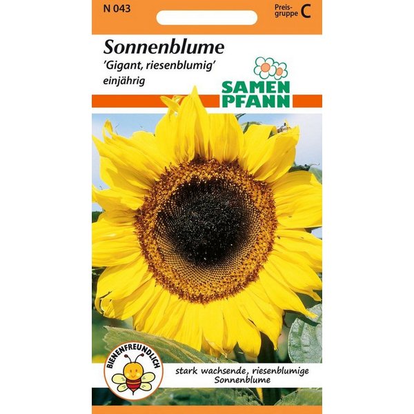 SAMEN PFANN Blumensamen Sonnenblume, Gigant - Saatgut SonnenSamen, Helianthus annuus