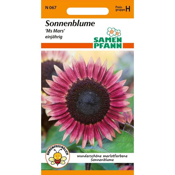 SAMEN PFANN Blumensamen Sonnenblume, Ms Mars - Saatgut SonnenSamen, Helianthus annuus