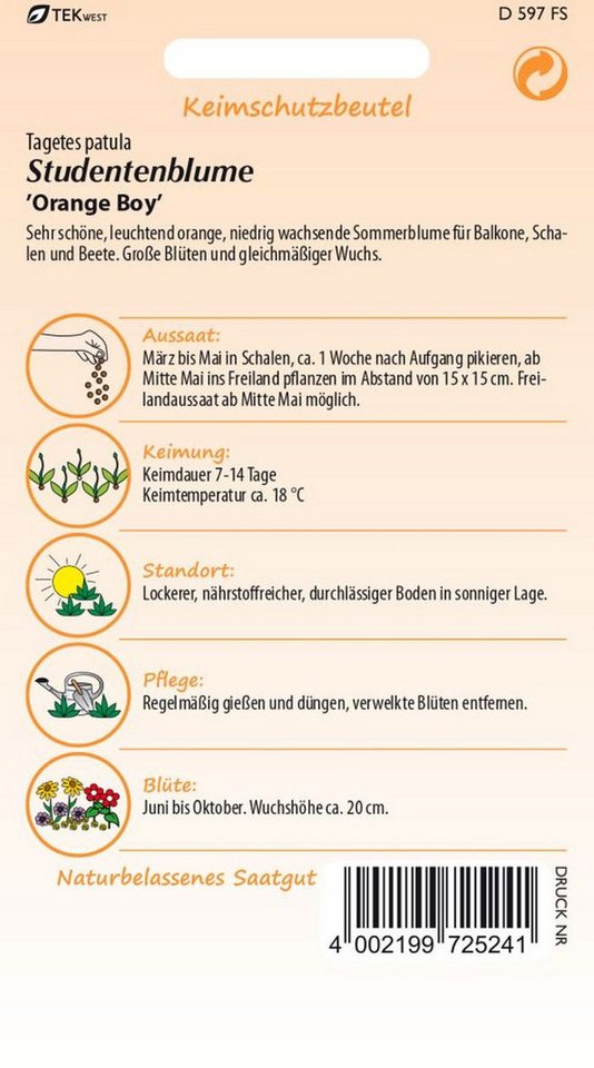 SAMEN PFANN Blumensamen Tagetes, Orange Boy - Saatgut Tagetes-Samen Samen, Tagetes patula – Bild 2 von 2