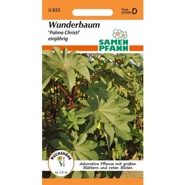 SAMEN PFANN Blumensamen Wunderbaum (Ricinus), Palma Christi - Saatgut Samen, Ricinus communis