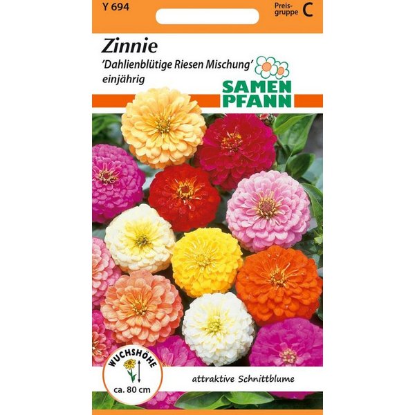 SAMEN PFANN Blumensamen Zinnie, Dahlienblütige Riesen Mischung Saatgut Zinnien-Samen Samen, Zinnia elegans
