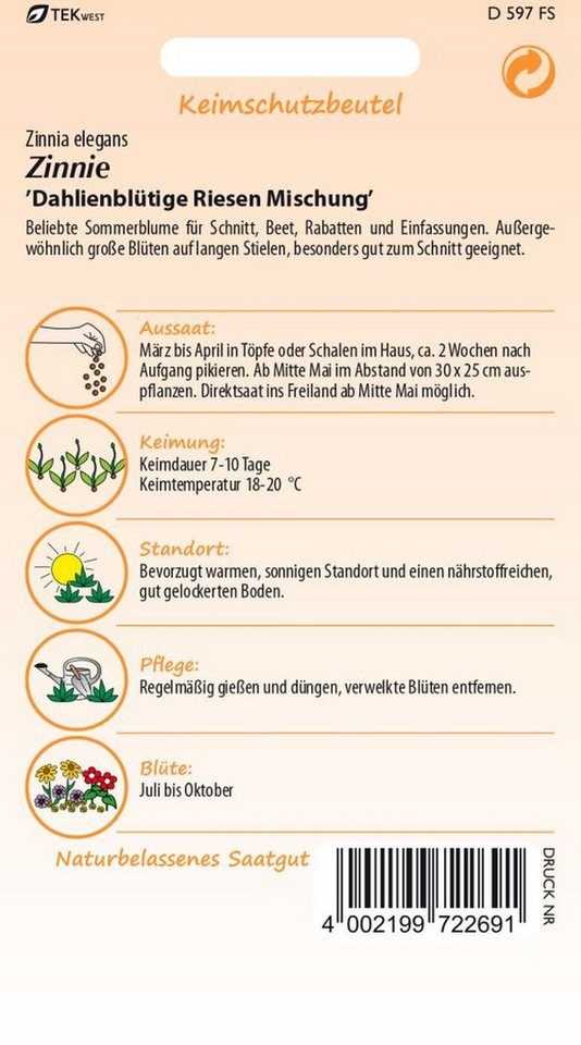 SAMEN PFANN Blumensamen Zinnie, Dahlienblütige Riesen Mischung Saatgut Zinnien-Samen Samen, Zinnia elegans – Bild 2 von 2