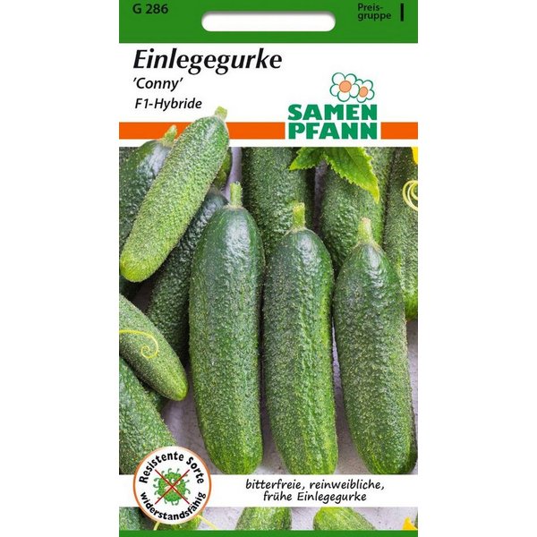 SAMEN PFANN Gemüsesamen Einlegegurke, Conny F1 - Gurken-Samen Saatgut Samen, Cucumis sativus