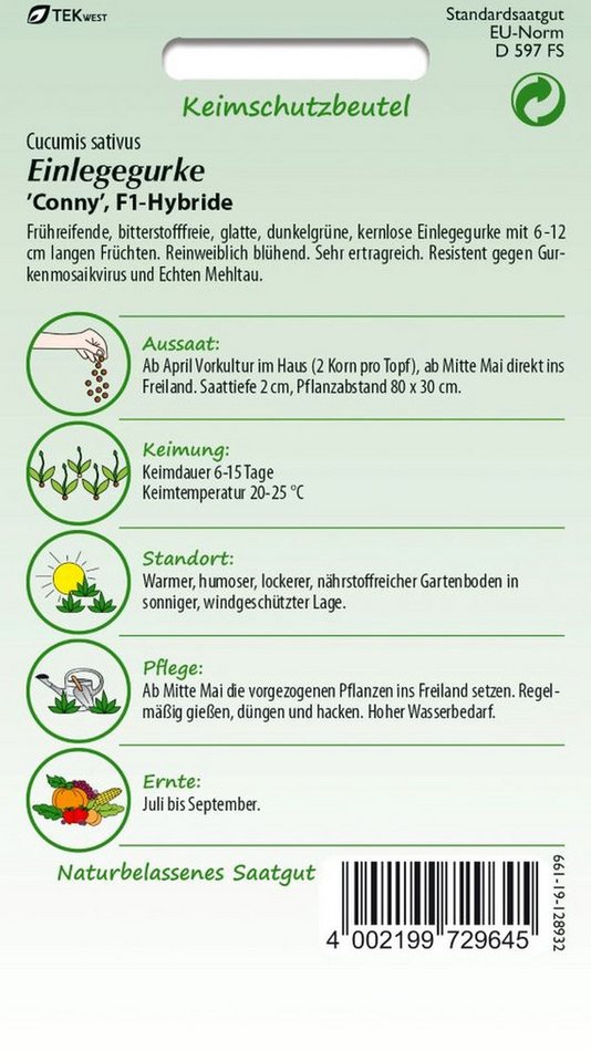 SAMEN PFANN Gemüsesamen Einlegegurke, Conny F1 - Gurken-Samen Saatgut Samen, Cucumis sativus – Bild 2 von 2