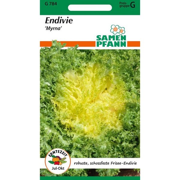 SAMEN PFANN Gemüsesamen Endivie, Winter-, Myrna, Friseesalat - Saatgut Salat-Samen Samen, Cichorium endivia