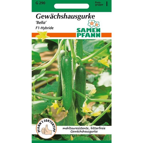 SAMEN PFANN Gemüsesamen Gewächshausgurke, Bella F1 - Gurken-Samen Saatgut Samen, Cucumis sativus
