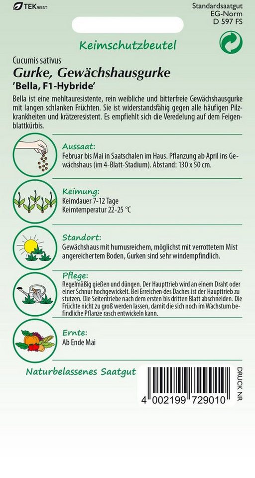 SAMEN PFANN Gemüsesamen Gewächshausgurke, Bella F1 - Gurken-Samen Saatgut Samen, Cucumis sativus – Bild 2 von 2