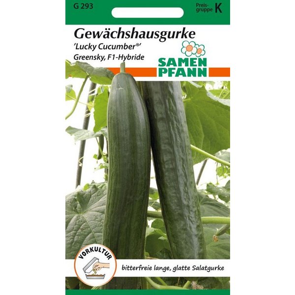 SAMEN PFANN Gemüsesamen Gewächshausgurke, Lucky Cucumber (Greensky F1) - Saatgut Samen, Cucumis sativus