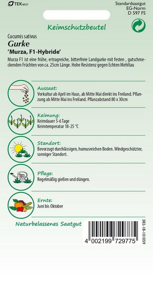 SAMEN PFANN Gemüsesamen Gurke, Murza F1, Landgurke, bitterfrei - Gurken-Samen Saatgut Samen, Cucumis sativus, var. Murza F1 – Bild 2 von 2