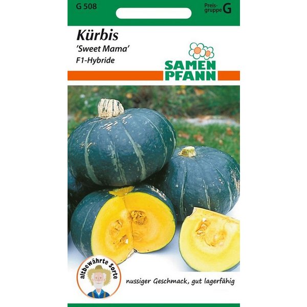 SAMEN PFANN Gemüsesamen Kürbis, Sweet Mama - Kürbis-Samen Saatgut Samen, Cucurbita maxima, var. Sweet Mama F1