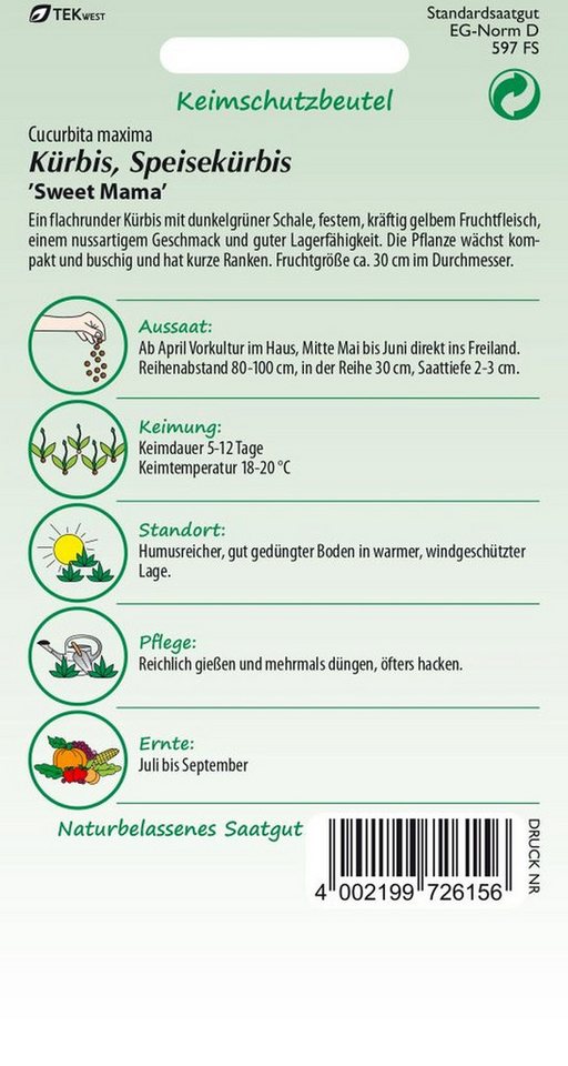 SAMEN PFANN Gemüsesamen Kürbis, Sweet Mama - Kürbis-Samen Saatgut Samen, Cucurbita maxima, var. Sweet Mama F1 – Bild 2 von 2