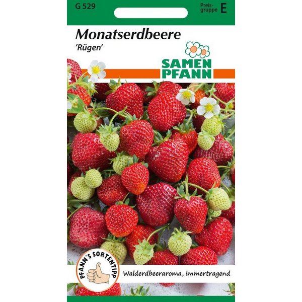 SAMEN PFANN Gemüsesamen Monatserdbeere, Rügen (Walderdbeere) - Erdbeer-Samen Saatgut Samen, Fragaria vesca