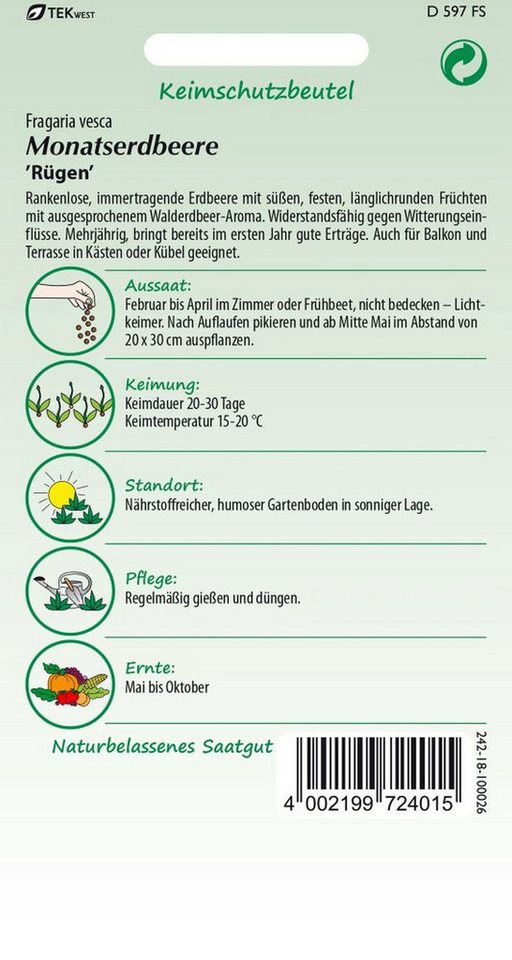 SAMEN PFANN Gemüsesamen Monatserdbeere, Rügen (Walderdbeere) - Erdbeer-Samen Saatgut Samen, Fragaria vesca – Bild 2 von 2