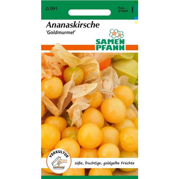 SAMEN PFANN Gemüsesamen Physalis, Goldmurmel - Saatgut Samen, Physalis pruinosa, var. Goldmurmel