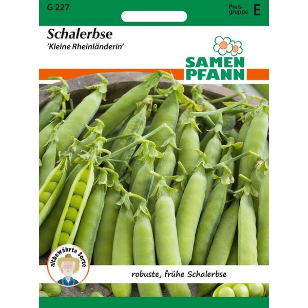 SAMEN PFANN Gemüsesamen Schalerbse, Kleine Rheinländerin - Saatgut Samen, Pisum sativum