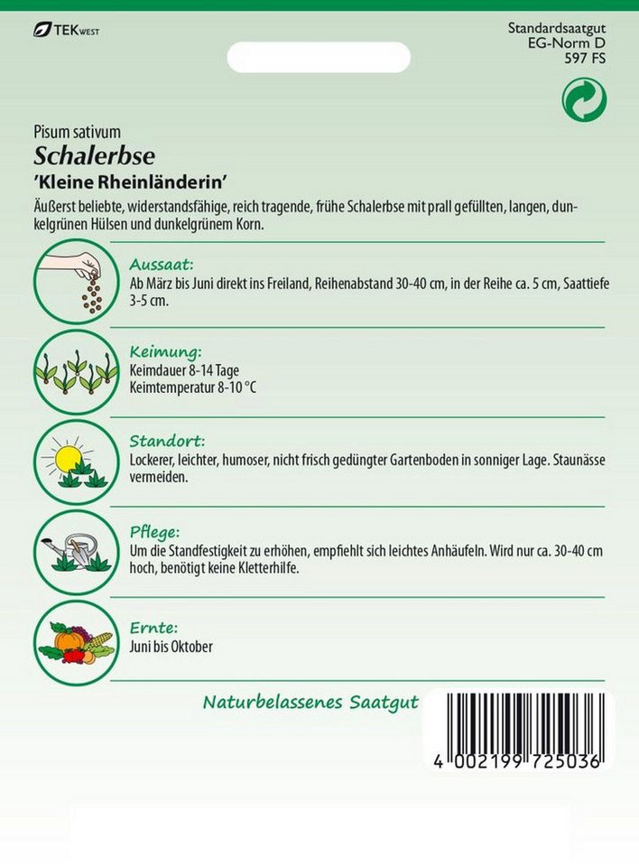 SAMEN PFANN Gemüsesamen Schalerbse, Kleine Rheinländerin - Saatgut Samen, Pisum sativum – Bild 2 von 2