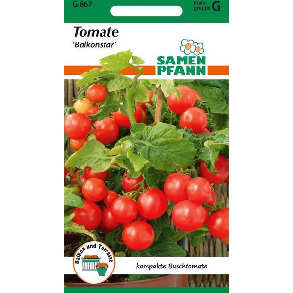 SAMEN PFANN Gemüsesamen Tomate, Buschtomate, Balkonstar - Saatgut Tomaten Samen, Solanum lycopersicum