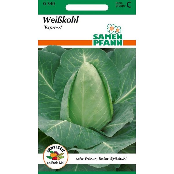 SAMEN PFANN Gemüsesamen Weißkohl, Filderkraut, Spitzkohl, Express - Saatgut Samen, Brassica oleracea