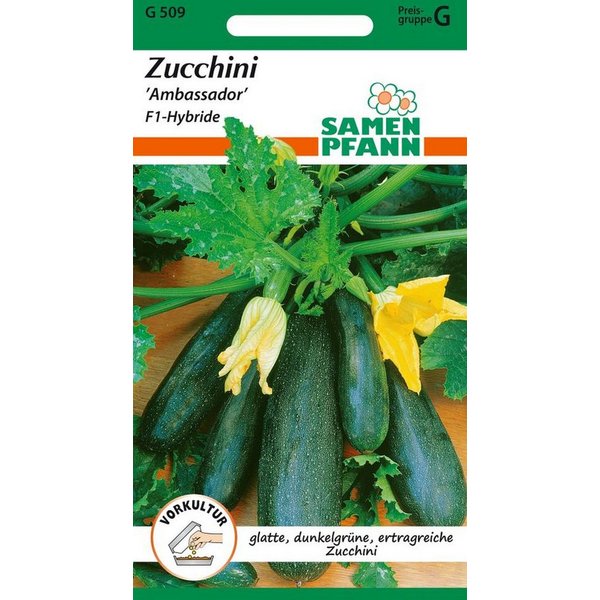 SAMEN PFANN Gemüsesamen Zucchini, Ambassador - Saatgut Zucchini-Samen Samen, Cucurbita pepo