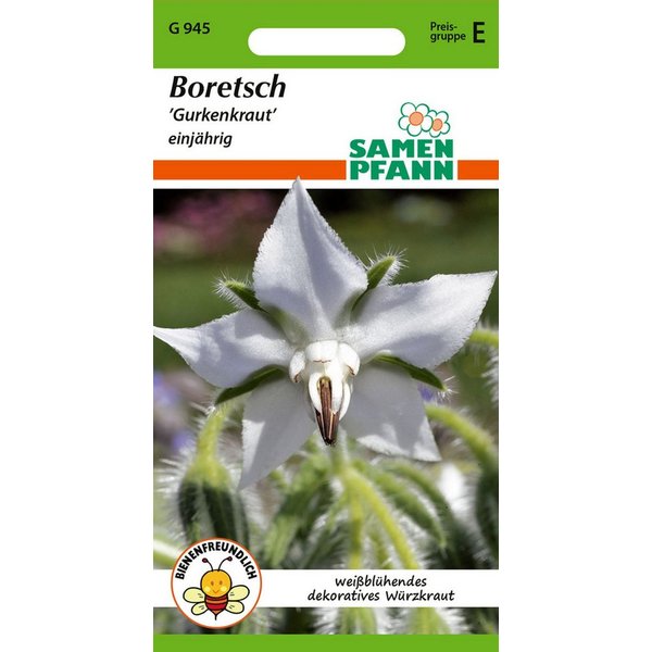 SAMEN PFANN Kräutersamen Borretsch, Gurkenkraut - Gewürz, Heilkraut, Kräuter-Samen Gewürz, Borago officinalis