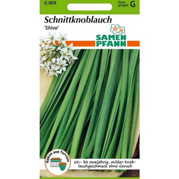 SAMEN PFANN Kräutersamen Schnittknoblauch, Shiva - Gewürz Saatgut Schnittlauch-Samen, Allium tuberosum