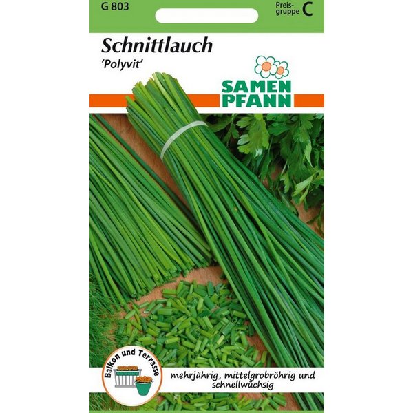 SAMEN PFANN Kräutersamen Schnittlauch, Polyvit - Gewürz Saatgut Schnittlauch-Samen, Allium schoenoprasum