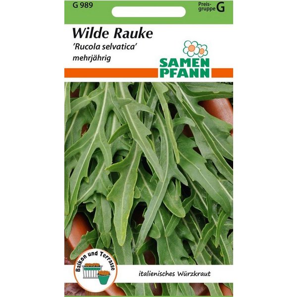 SAMEN PFANN Kräutersamen Wilde Rauke - Kräuter-Samen Gewürz Rauken-Samen Saatgut Samen, Diplotaxis tenuifolia