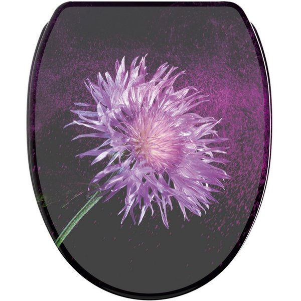 Sanilo WC-Sitz Purple Dust mit Absenkautomatik & Quick Release, Premium Toilettendeckel, abnehmbar, leichte Montage von oben