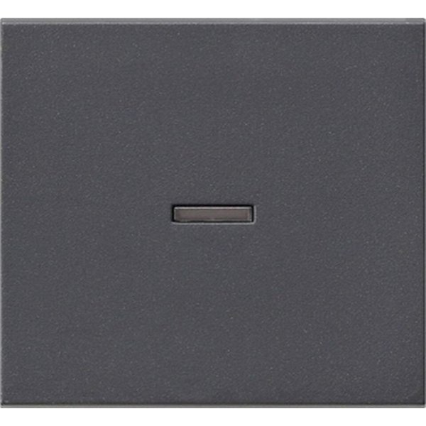 GIRA Schalter GIRA 029028 Wippe Kontrollfenster System 55 Anthrazit