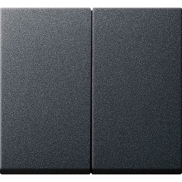 GIRA Schalter GIRA 029528 Wippe 2fach System 55 Anthrazit