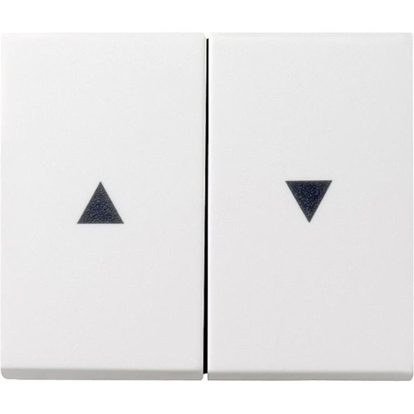 GIRA Schalter GIRA 329427 Wippe 2fach Pfeil System 55 Reinweiß seidenmatt