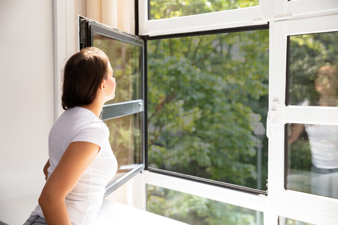 SCHELLENBERG Fliegengitter-Gewebe Maxi für große Fenster, (Packung, 3-St), Insektenschutz und Mückenschutz, 150 x 300 cm, anthrazit und weiß – Bild 2 von 5