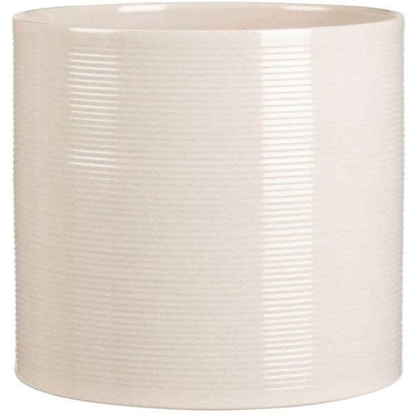 28cm sesame