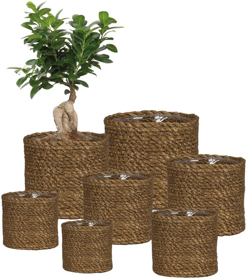 Scheurich Blumentopf brown 26/508 – Bild 4 von 5