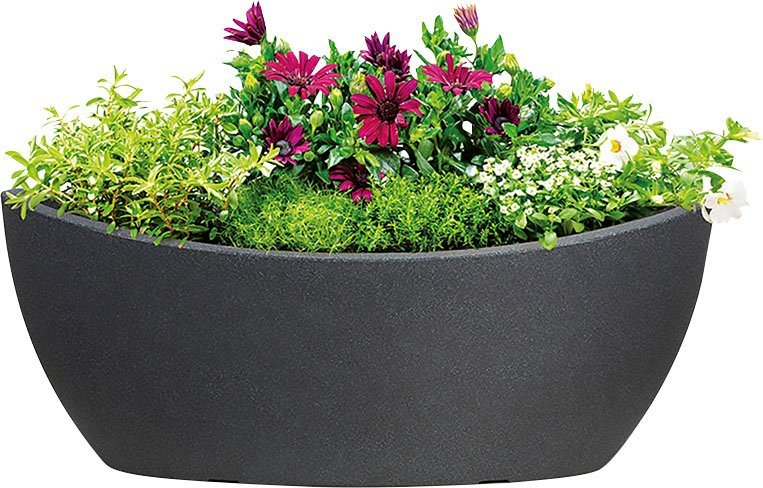 Scheurich Jardiniere 58/253 WA.GLOBE – Bild 3 von 5