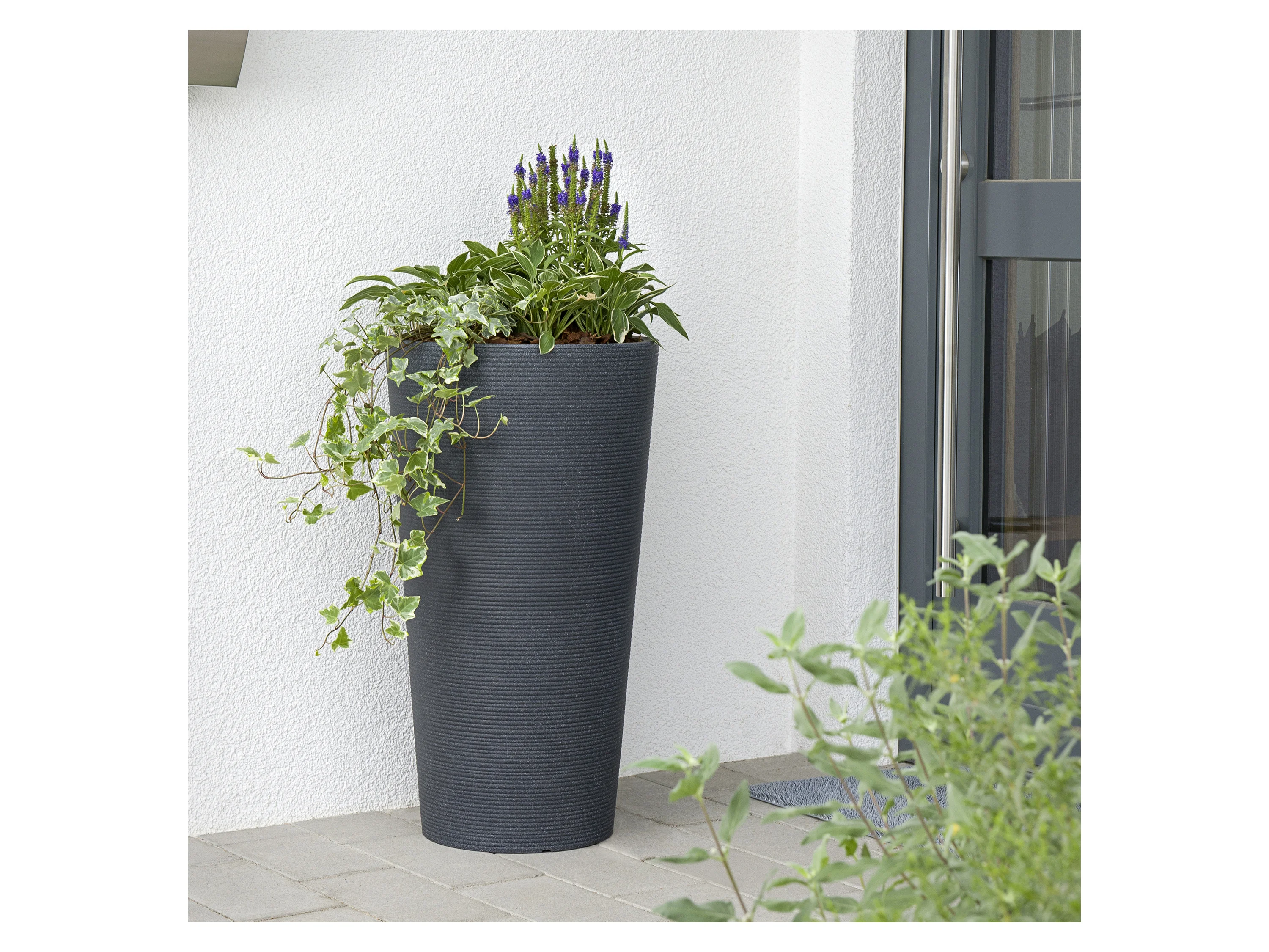 SCHEURICH Pflanzgefäß Coneo High (Schwarz Granit, Ø 29 cm, Höhe 55 cm) – Bild 2 von 3