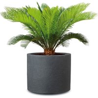 SCHEURICH Pflanzgefäß Riva (Schwarz Granit, Ø 50 cm)